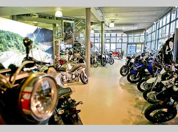 Thumbnail pandfoto showroom