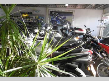 Thumbnail pandfoto showroom