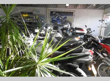 Thumbnail pandfoto showroom