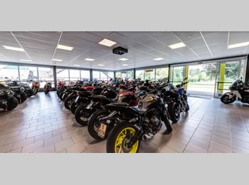 Thumbnail pandfoto showroom