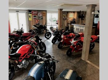 Thumbnail pandfoto showroom