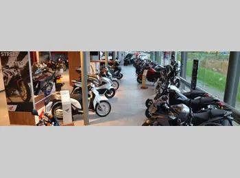 Thumbnail pandfoto showroom