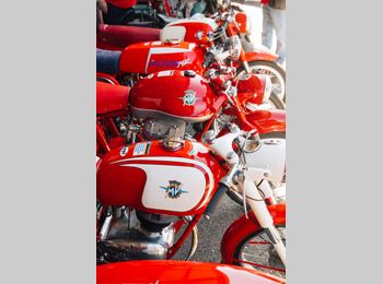 Thumbnail pandfoto showroom