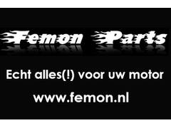Logo Femon Parts