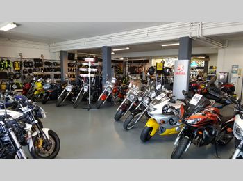 Thumbnail pandfoto showroom