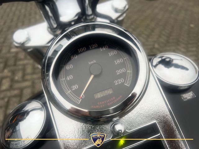 harley-davidson - softail-standard-fxst