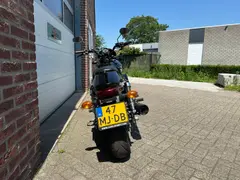 Harley-Davidson XG 750 Street 2016 occasion – foto 14 van 18