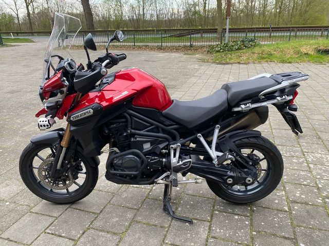 triumph - tiger-explorer