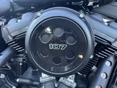 Harley-Davidson Softail Street Bob Streetbob 5hd 2019 occasion – foto 8 van 18