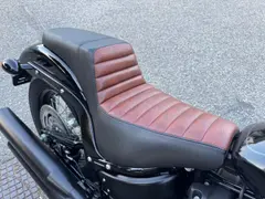 Harley-Davidson Softail Street Bob Streetbob 5hd 2019 occasion – foto 9 van 18