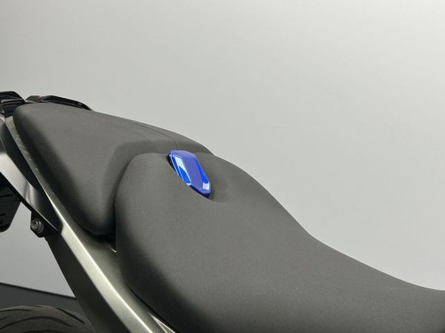 bmw - r-1300-r