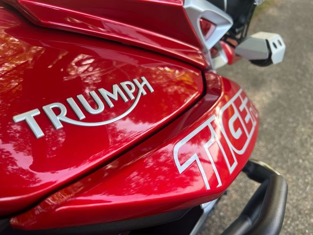 triumph - tiger-800-xca
