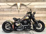 HARLEY-DAVIDSON CROSS BONES FLSTSB