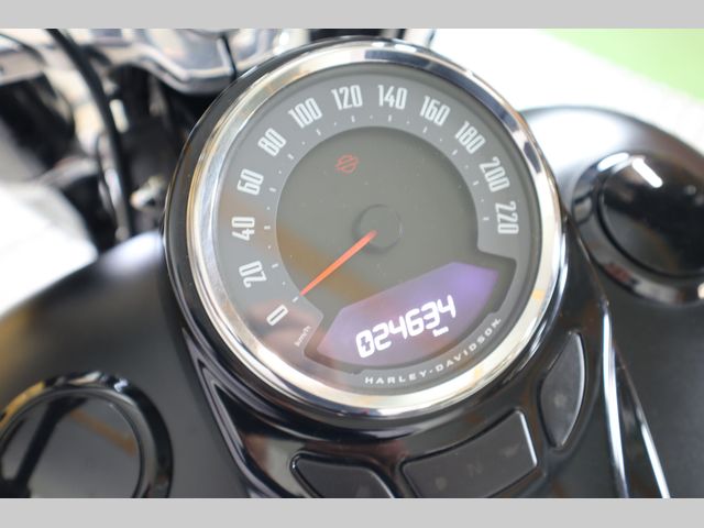 harley-davidson - softail-slim-fls