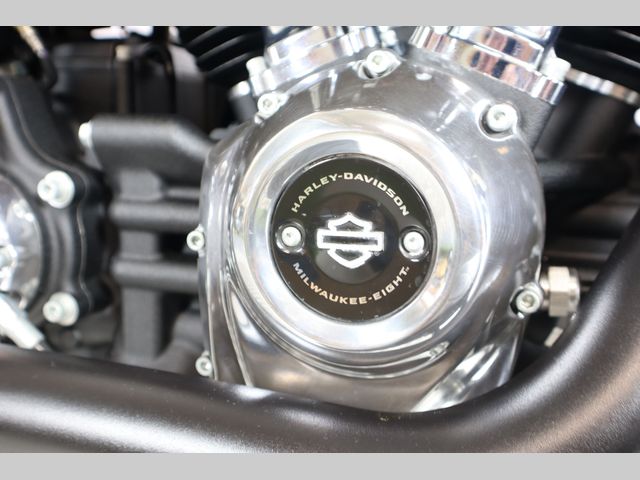 harley-davidson - softail-slim-fls