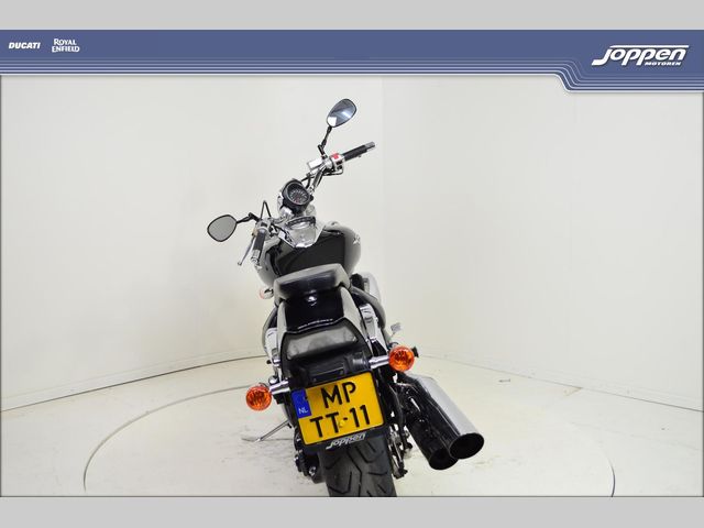 suzuki - new-intruder-m-800