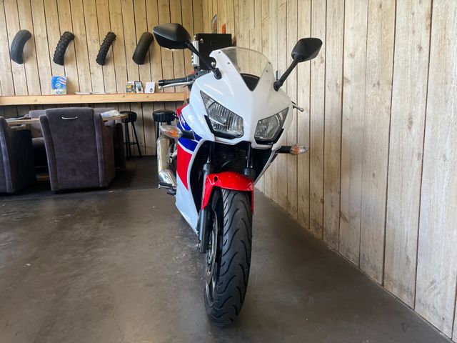 honda - cbr-300-r