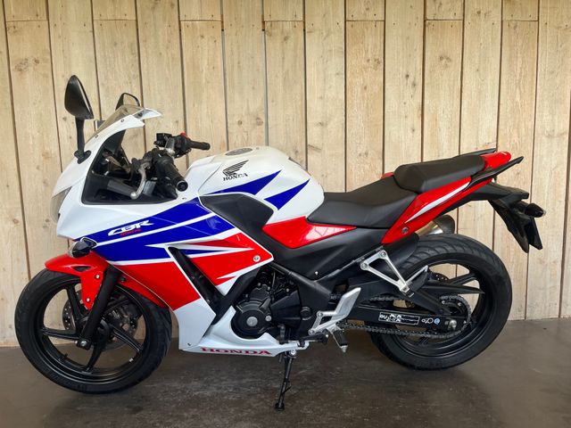 honda - cbr-300-r