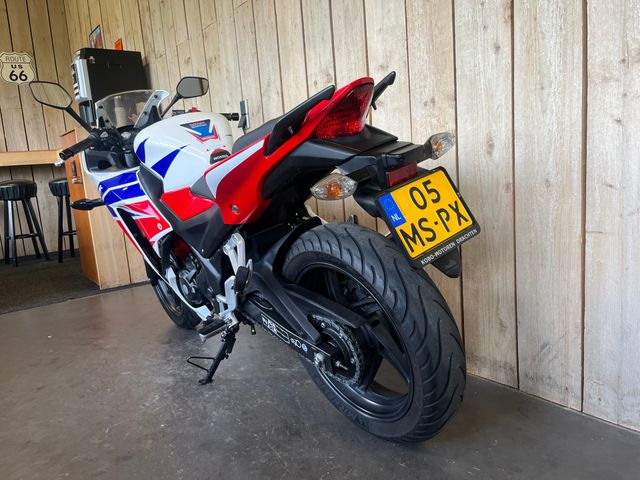 honda - cbr-300-r