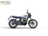 ROYAL ENFIELD BEAR 650