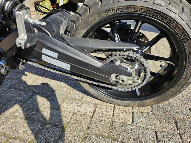 ducati - scrambler-1100-pro