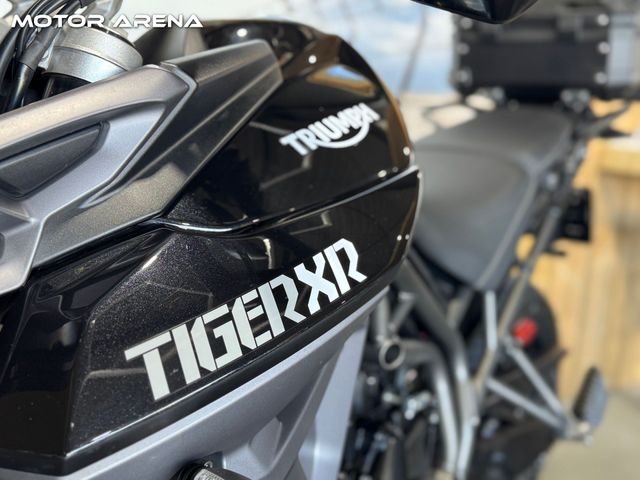 triumph - tiger-800-xr