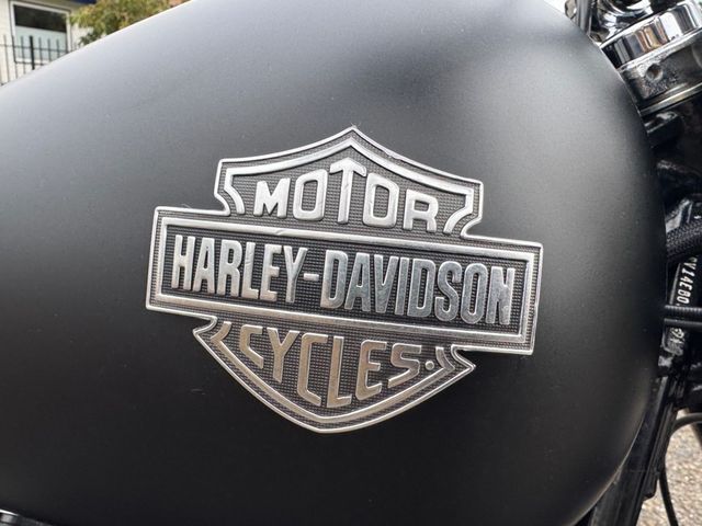 harley-davidson - softail-slim-fls