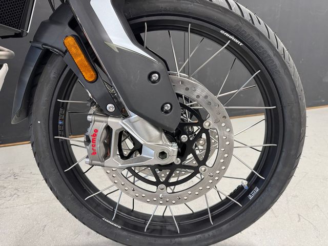 triumph - tiger-900-rally-pro