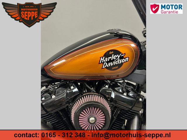 harley-davidson - softail-custom-fxst