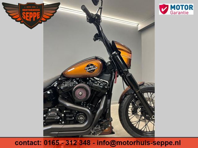 harley-davidson - softail-custom-fxst