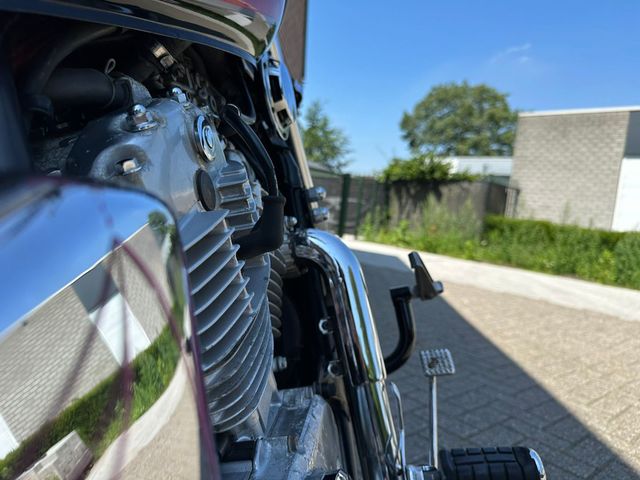 honda - vt-800-c-shadow