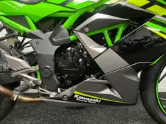 Kawasaki Ninja 125 2020 occasion – foto 7 van 23