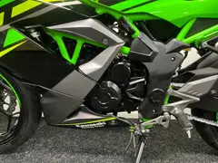 Kawasaki Ninja 125 2020 occasion – foto 18 van 23