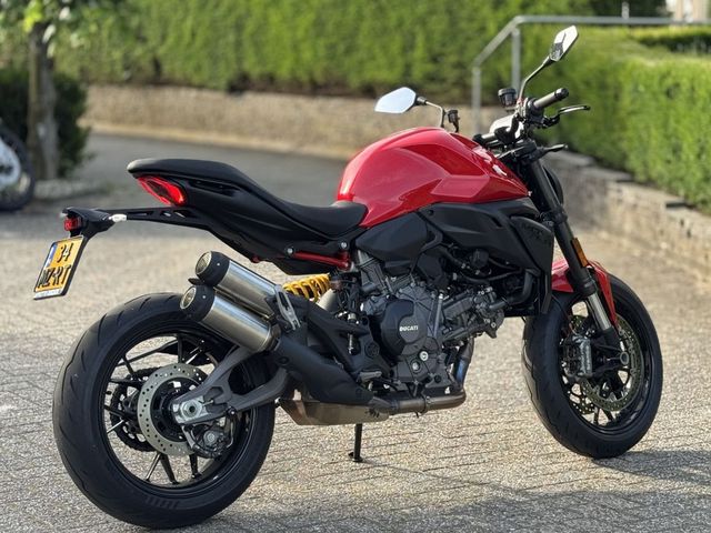 ducati - monster