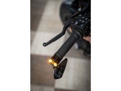 Harley-Davidson Sportster S 1250 Cncpt Moto 2021 occasion – foto 9 van 10