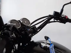 Kawasaki W800 ABS 2020 occasion – foto 12 van 18