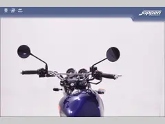 Royal Enfield interceptor650 black edition 2025 nieuw – foto 18 van 24