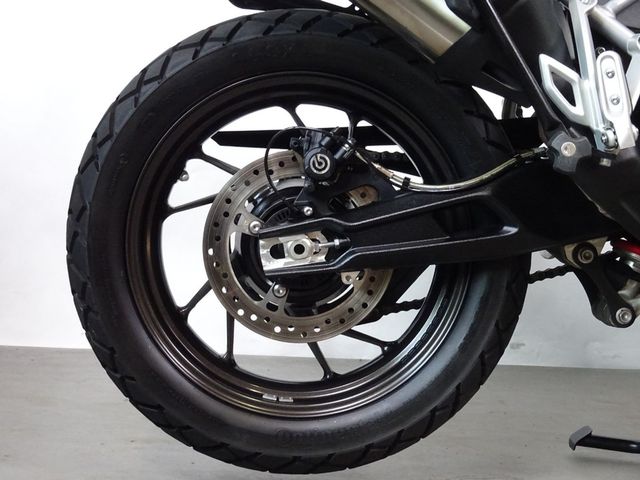 triumph - tiger-900-gt-pro
