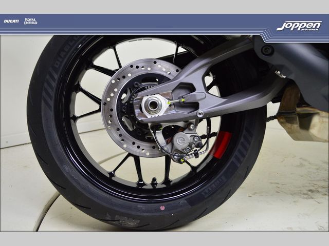 ducati - monster