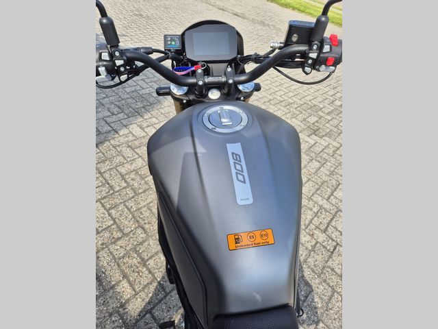 benelli - leoncino-800-trail