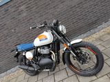 ROYAL ENFIELD BEAR 650