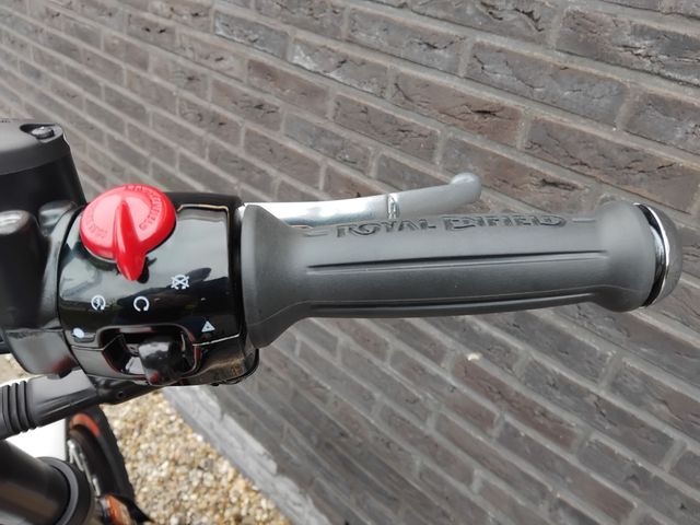 royal-enfield - bear-650