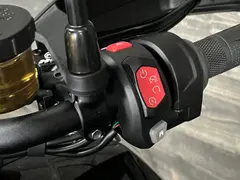 Triumph Tiger 1200 Rally PRO 2026 nieuw – foto 16 van 16