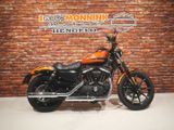HARLEY-DAVIDSON SPORTSTER IRON XL 883 N