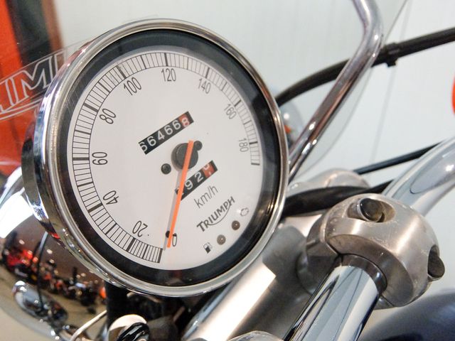 triumph - bonneville-america