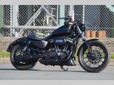 HARLEY-DAVIDSON SPORTSTER IRON XL 883 N