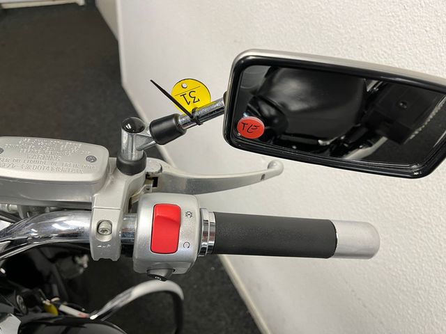 suzuki - new-intruder-m-800