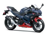 KAWASAKI NINJA 500 SE