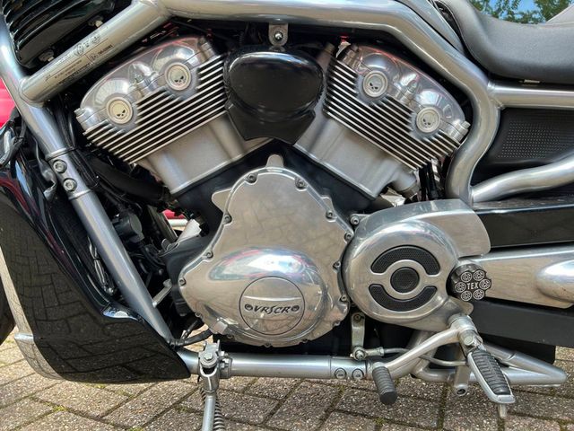 harley-davidson - v-rod-street-rod-vrscr