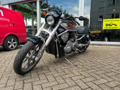Harley-Davidson Chopper Vrscr V-Rod Street Rod 2005 occasion – foto 4 van 15